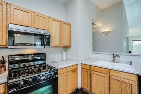 10071 E Desert Gorge Dr, Tucson, AZ 85747 photo 15
