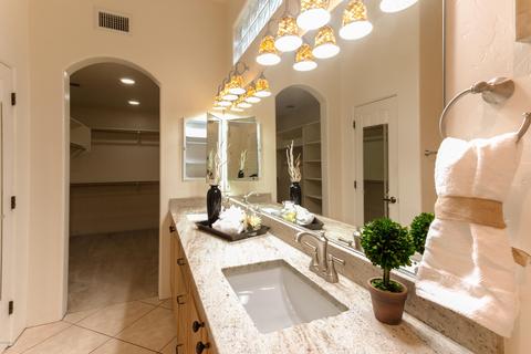 9804 E Forest Grove Loop, Tucson, AZ 85749 photo 21