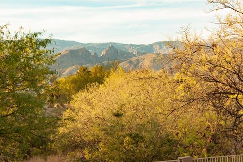 9804 E Forest Grove Loop, Tucson, AZ 85749 photo 37