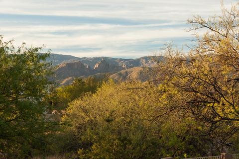9804 E Forest Grove Loop, Tucson, AZ 85749 photo 38