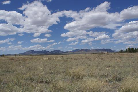 1877 S Collins Ln, Willcox, AZ 85643 photo 20