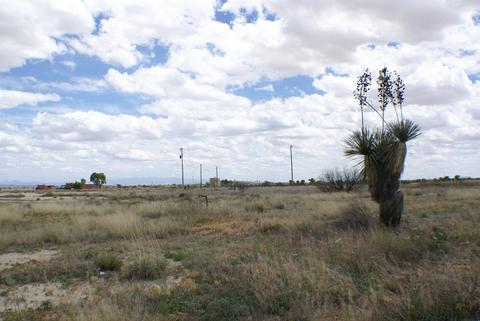 1877 S Collins Ln, Willcox, AZ 85643 photo 19