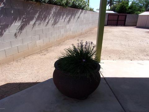 7120 E Sylvane Dr, Tucson, AZ 85710 photo 25