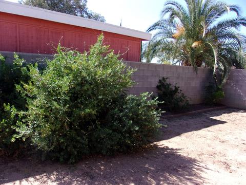 7120 E Sylvane Dr, Tucson, AZ 85710 photo 27