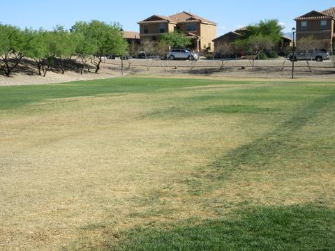 8457 S Gupta Dr, Tucson, AZ 85747 photo 35