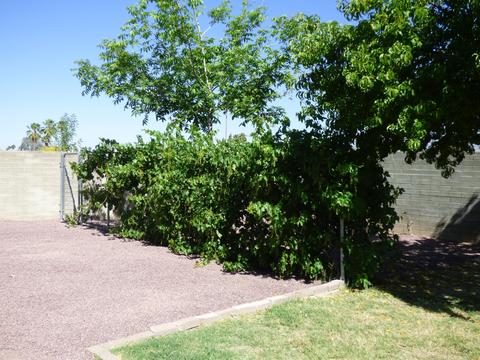 9087 E 7th St, Tucson, AZ 85710 photo 21