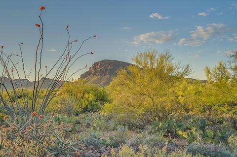 4325 W Irvington Rd, Tucson, AZ 85746 photo 41