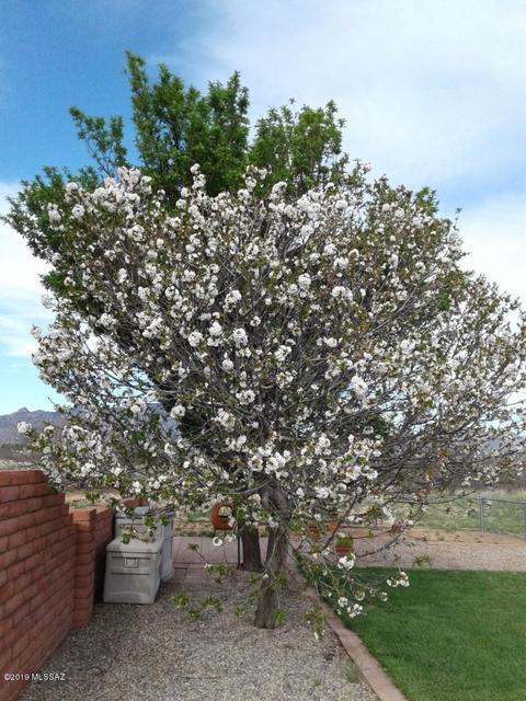781 N Central Rd, Pearce, AZ 85625 photo 19