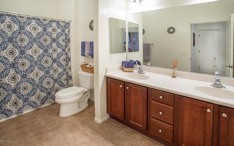 13646 E Aviara Pl, Vail, AZ 85641 photo 26