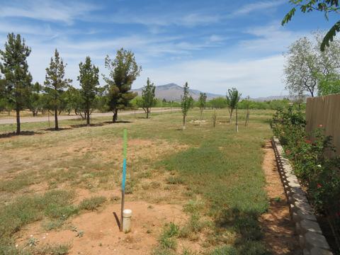 3396 W Mohawk Pl, Benson, AZ 85602 photo 37