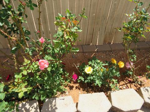 3396 W Mohawk Pl, Benson, AZ 85602 photo 25