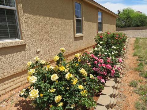 3396 W Mohawk Pl, Benson, AZ 85602 photo 26