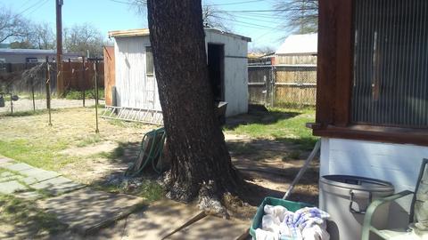 2120 E 18th St, Tucson, AZ 85719 photo 22