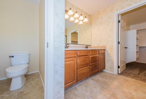 12647 E Red Iron Trl, Vail, AZ 85641 photo 16