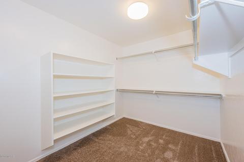 12647 E Red Iron Trl, Vail, AZ 85641 photo 19