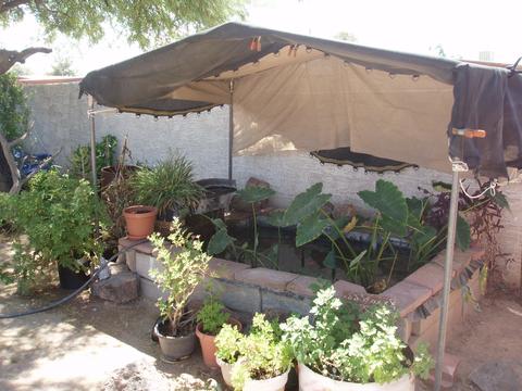 1102 E 30th St, Tucson, AZ 85713 photo 27