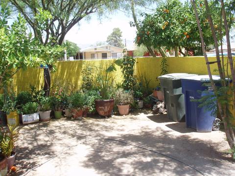 1102 E 30th St, Tucson, AZ 85713 photo 23