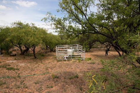 16455 W Arivaca Rd, Arivaca, AZ 85601 photo 32