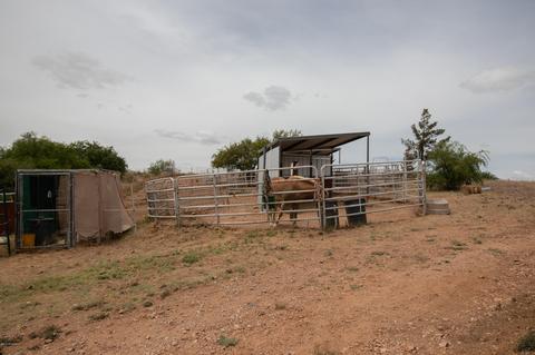16455 W Arivaca Rd, Arivaca, AZ 85601 photo 12