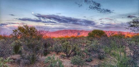 330 N Eastern Slope Loop, Tucson, AZ 85748 photo 30