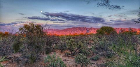 330 N Eastern Slope Loop, Tucson, AZ 85748 photo 31