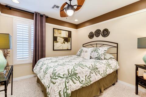 6581 S Chinese Lanterns Dr, Tucson, AZ 85756 photo 14