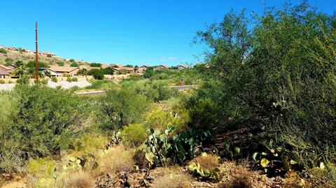 3520 Edwin Rd, Tucson, AZ 85739 photo 3