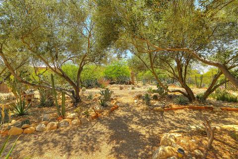 520 E Deone Cir, Tucson, AZ 85704 photo 40