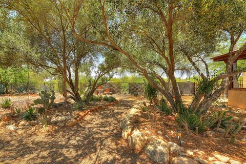 520 E Deone Cir, Tucson, AZ 85704 photo 41