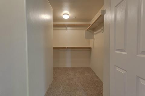 13804 E Corte La Pata, Vail, AZ 85641 photo 38