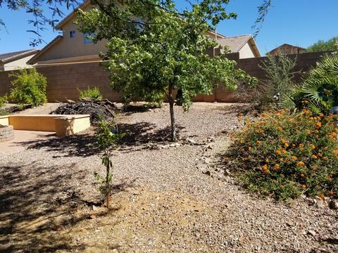 595 W Grantham St, Vail, AZ 85641 photo 19
