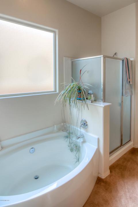 10635 Eisenbergs Pl, Tucson, AZ 85747 photo 13