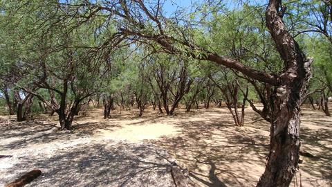 90 S Apache Powder Rd, Saint David, AZ 85630 photo 28
