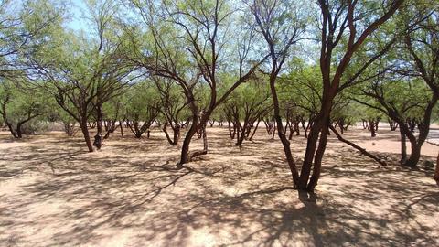 90 S Apache Powder Rd, Saint David, AZ 85630 photo 30