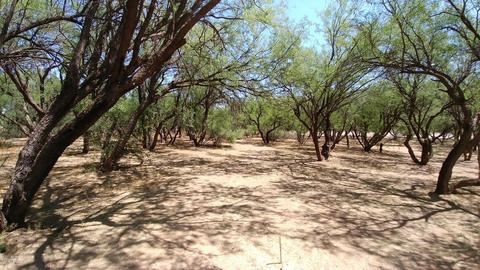 90 S Apache Powder Rd, Saint David, AZ 85630 photo 29