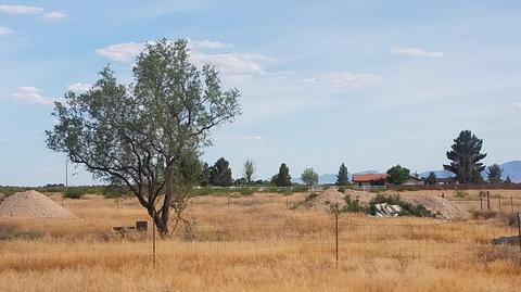 4655 N Ingram Rd, Willcox, AZ 85643 photo 3