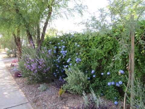 4813 E Mabel St, Tucson, AZ 85712 photo 4