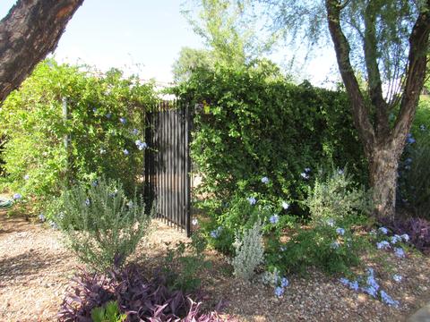 4813 E Mabel St, Tucson, AZ 85712 photo 14