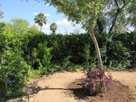 4813 E Mabel St, Tucson, AZ 85712 photo 27