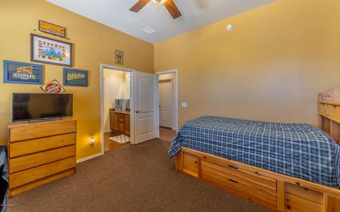 14214 E Wild Jesse Way, Vail, AZ 85641 photo 33
