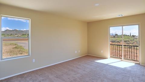 221 Imperial Ct, Vail, AZ 85641 photo 22