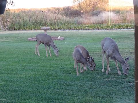 3808 N Circle I Rd, Willcox, AZ 85643 photo 20