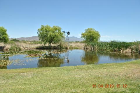 3808 N Circle I Rd, Willcox, AZ 85643 photo 16