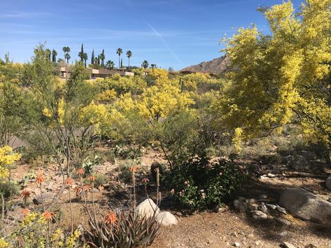 1340 E Thunderhead Dr, Tucson, AZ 85718 photo 37