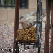1095 S Chatfield Dr, Vail, AZ 85641 photo 44