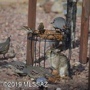 1095 S Chatfield Dr, Vail, AZ 85641 photo 49