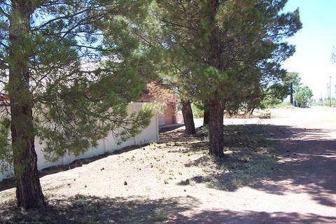 3266 W Cox Rd, Willcox, AZ 85643 photo 41