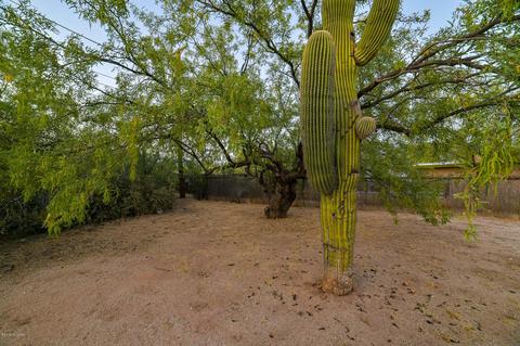 4787 E 3rd St, Tucson, AZ 85711 photo 31