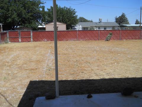 511 N Cochise Ave, Willcox, AZ 85643 photo 14