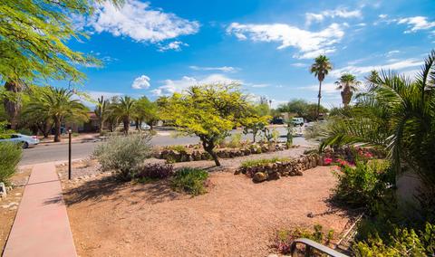 1950 E 8th St, Tucson, AZ 85719 photo 4